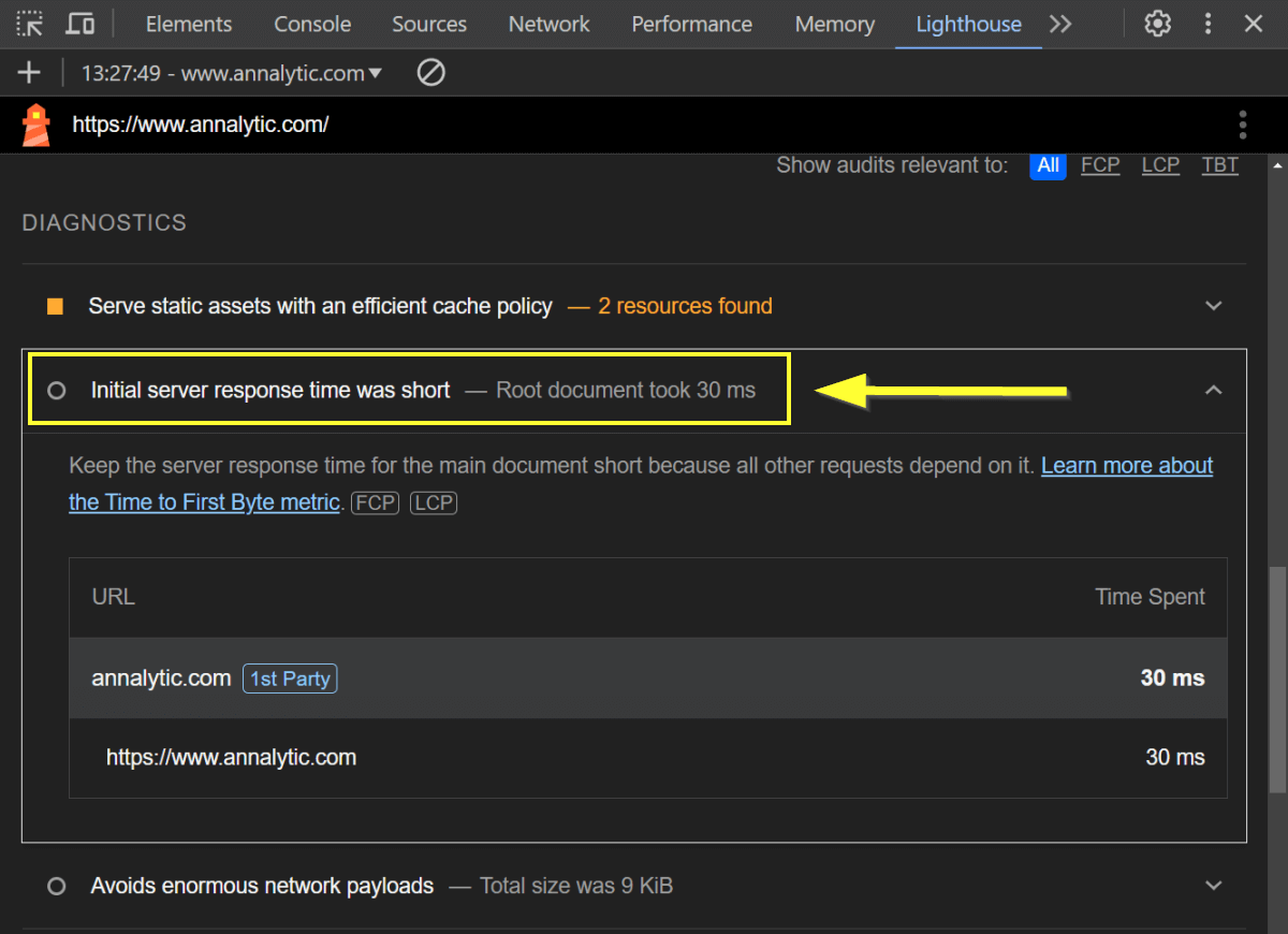 Example of good initial server response time in Lighthouse, with info flag