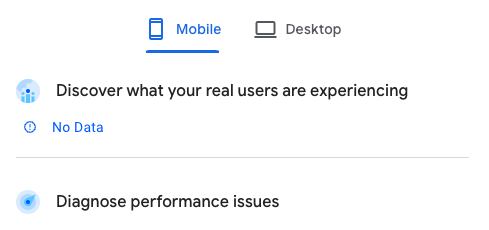 Google PageSpeed Insights No Data screen