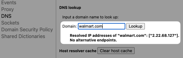 DNS lookup in Chrome net internals