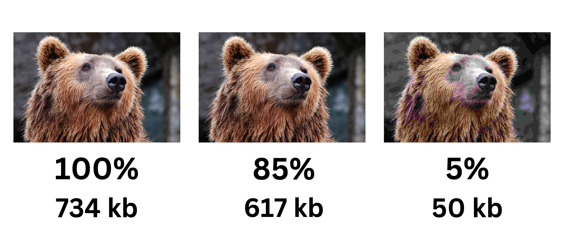 Efficient and inefficient image compression examples