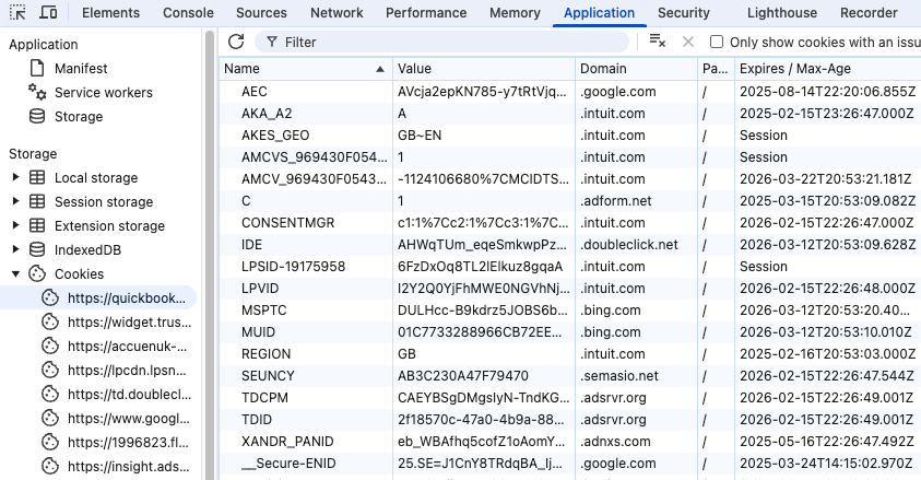 List of cookies in the DevTools application tab